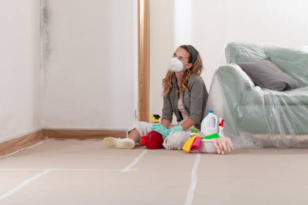 Reliable Mold Testing contractor in Nesconset, NY by WQB Mold Removal